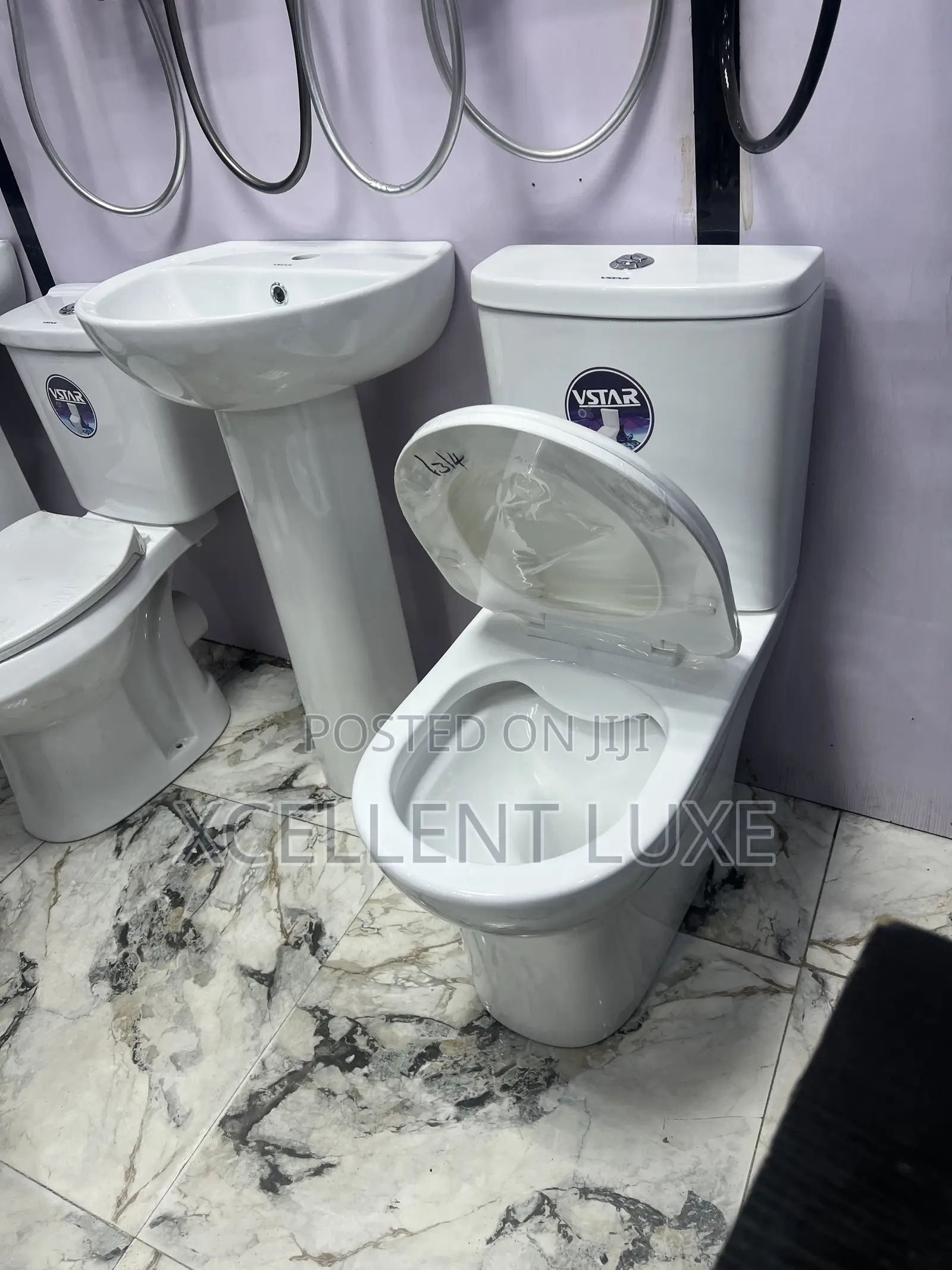 Executive Vstar Wc  With Wash Hand Basin