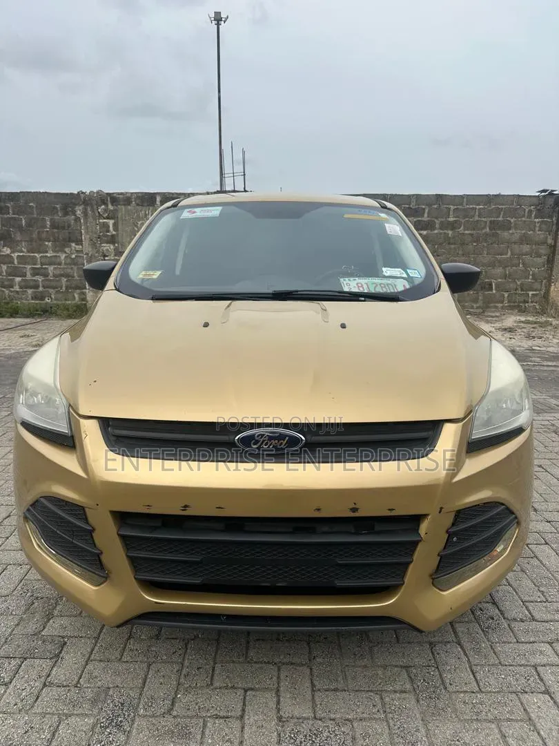 Ford Escape SE 4dr SUV (1.6L 4cyl Turbo 6A) 2014 Gold