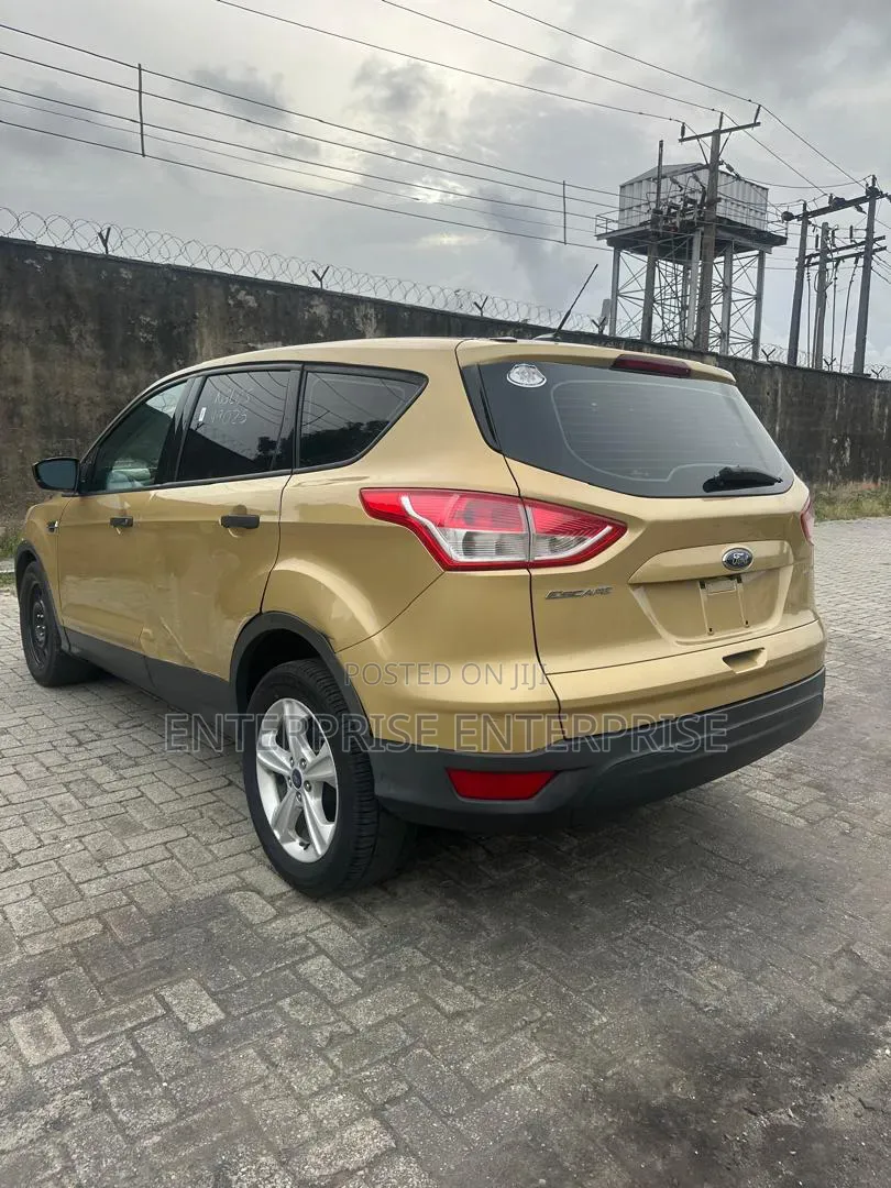 Ford Escape SE 4dr SUV (1.6L 4cyl Turbo 6A) 2014 Gold