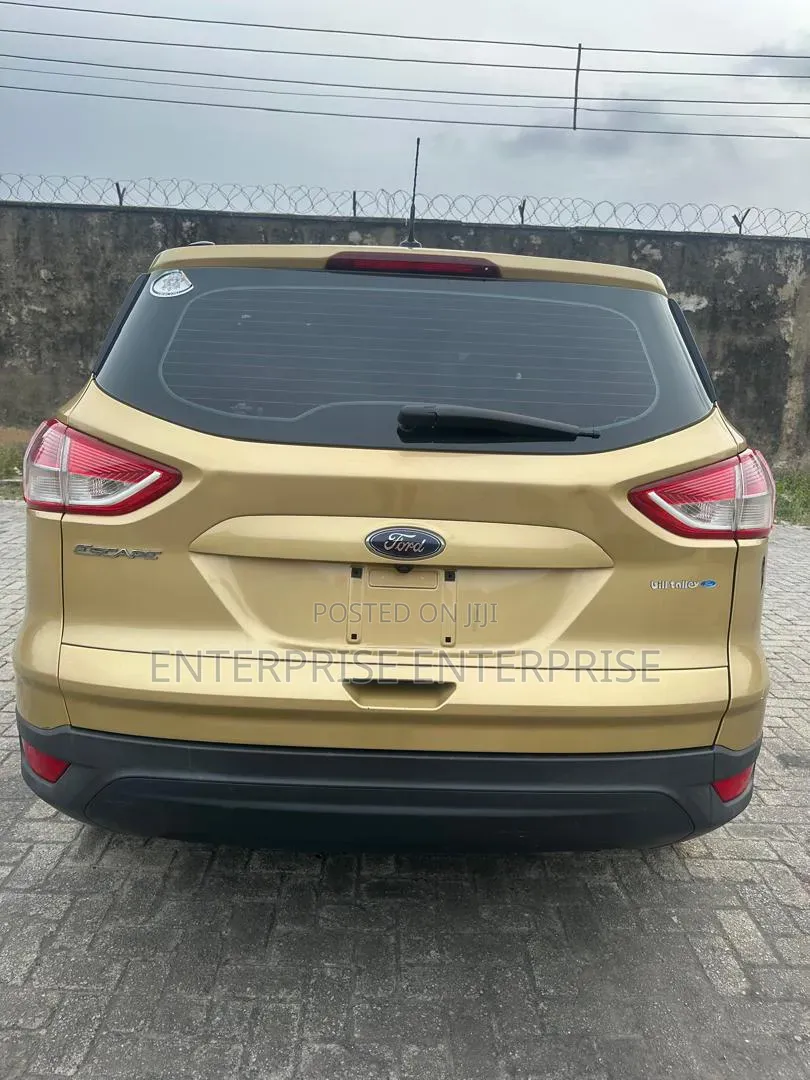 Ford Escape SE 4dr SUV (1.6L 4cyl Turbo 6A) 2014 Gold