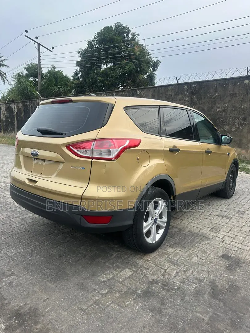 Ford Escape SE 4dr SUV (1.6L 4cyl Turbo 6A) 2014 Gold