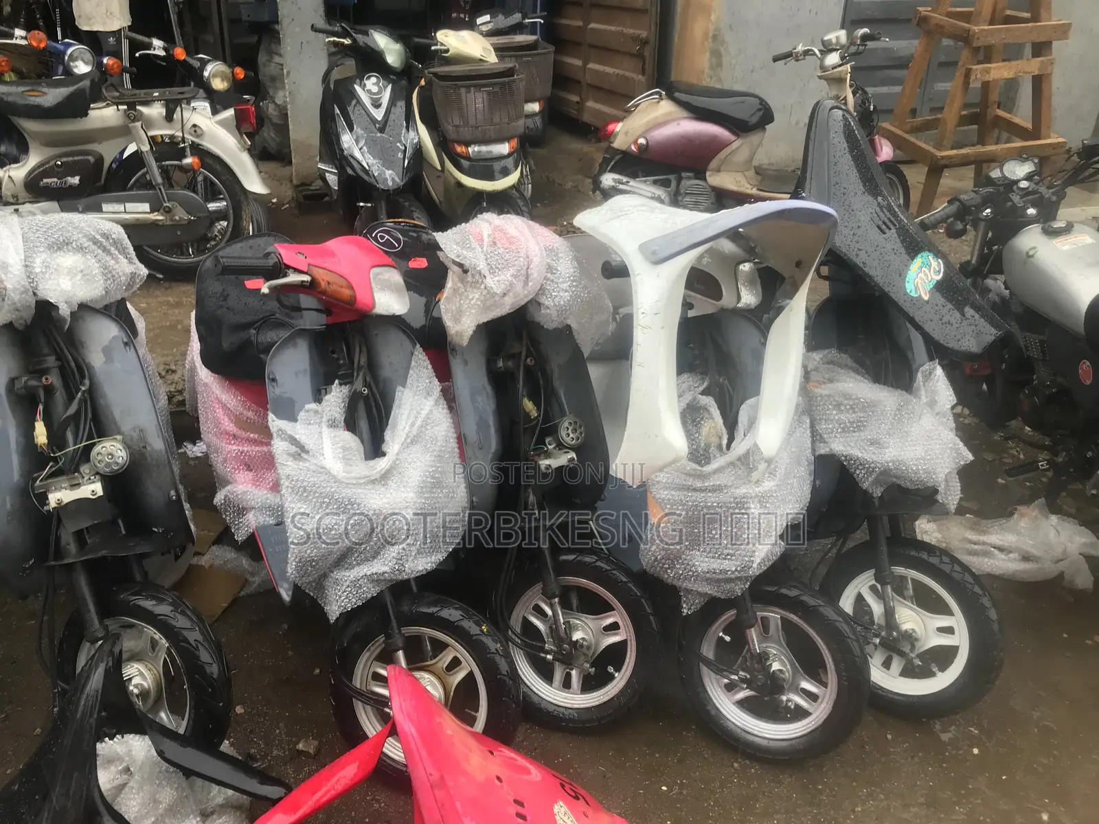 Honda 2021 White