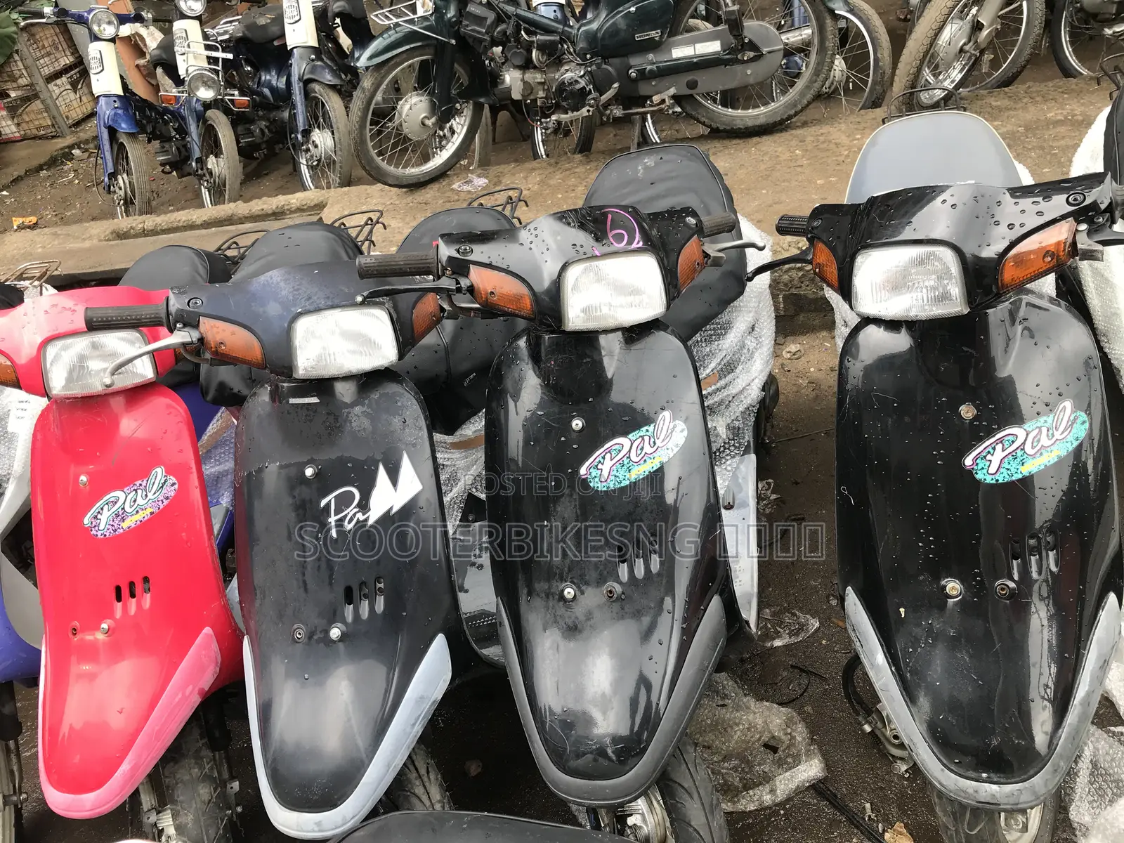 Honda 2021 White