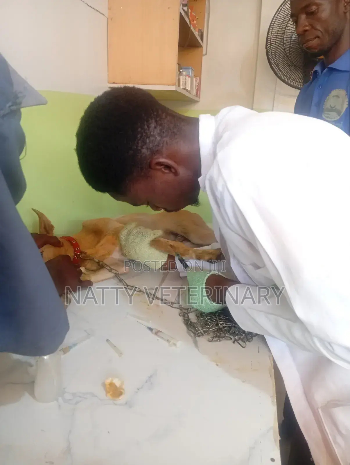 Natty Veterinary Clinic/Veterinary Doctor in Lugbe