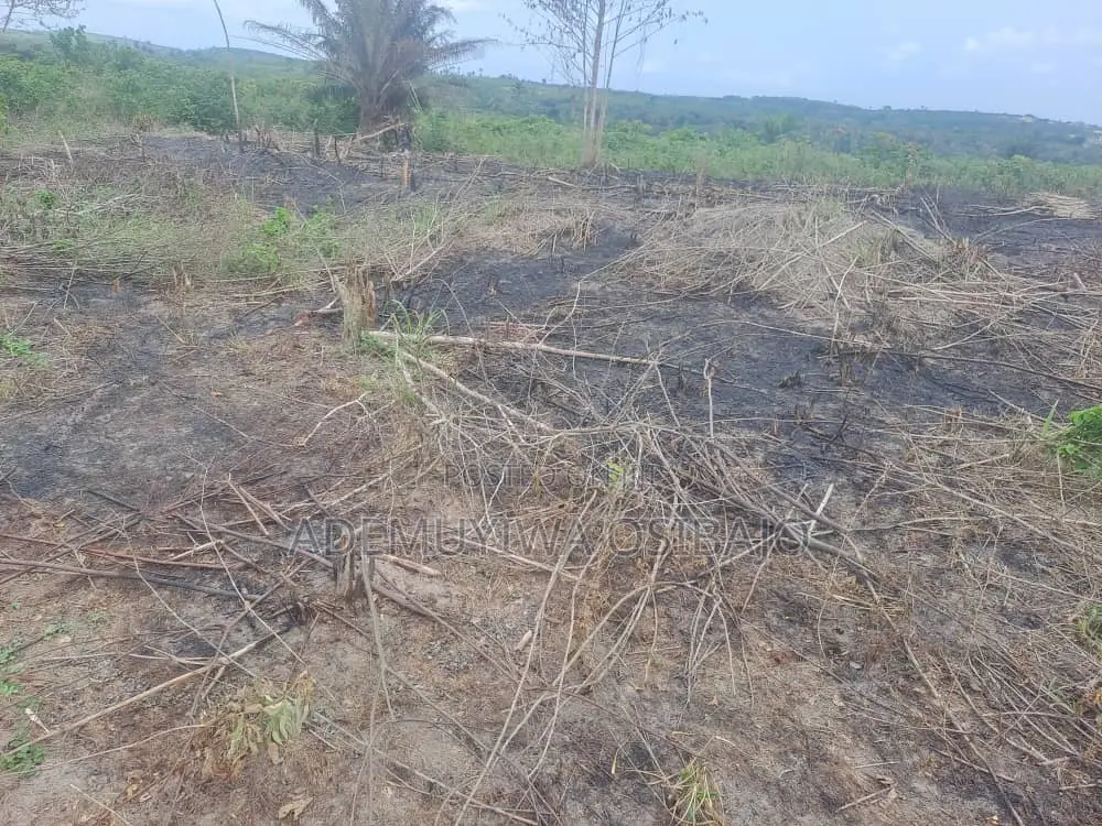 2 Acre of Land for Sale