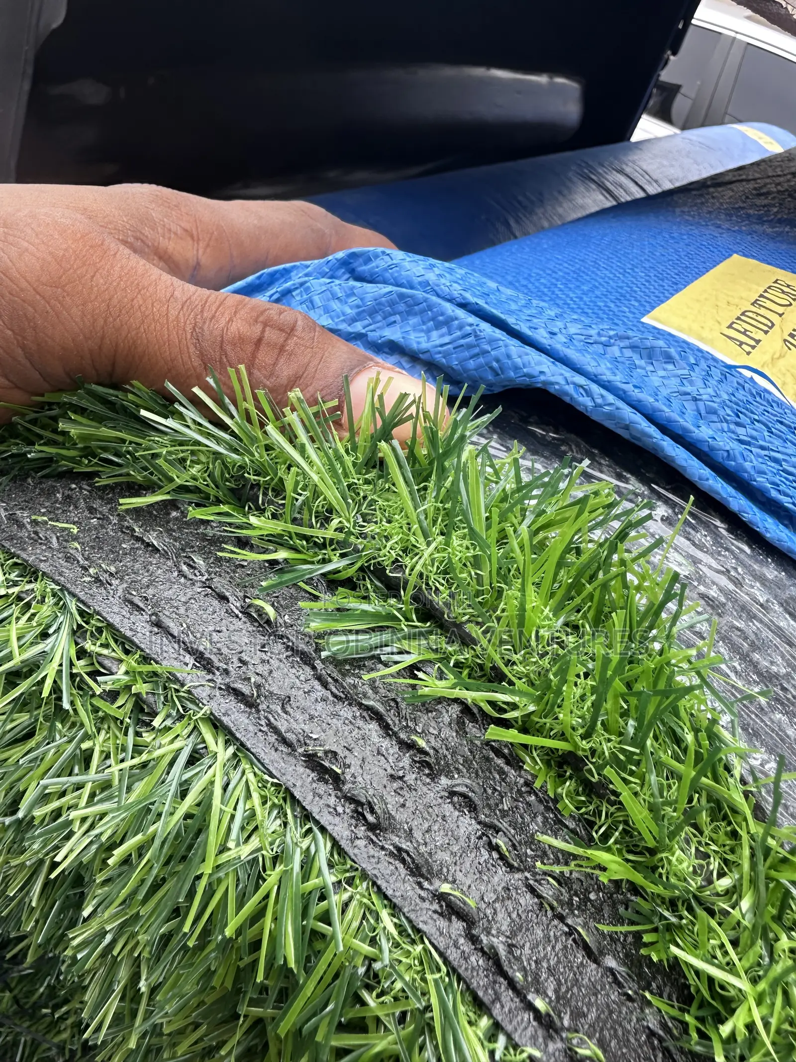 Grass Carpet