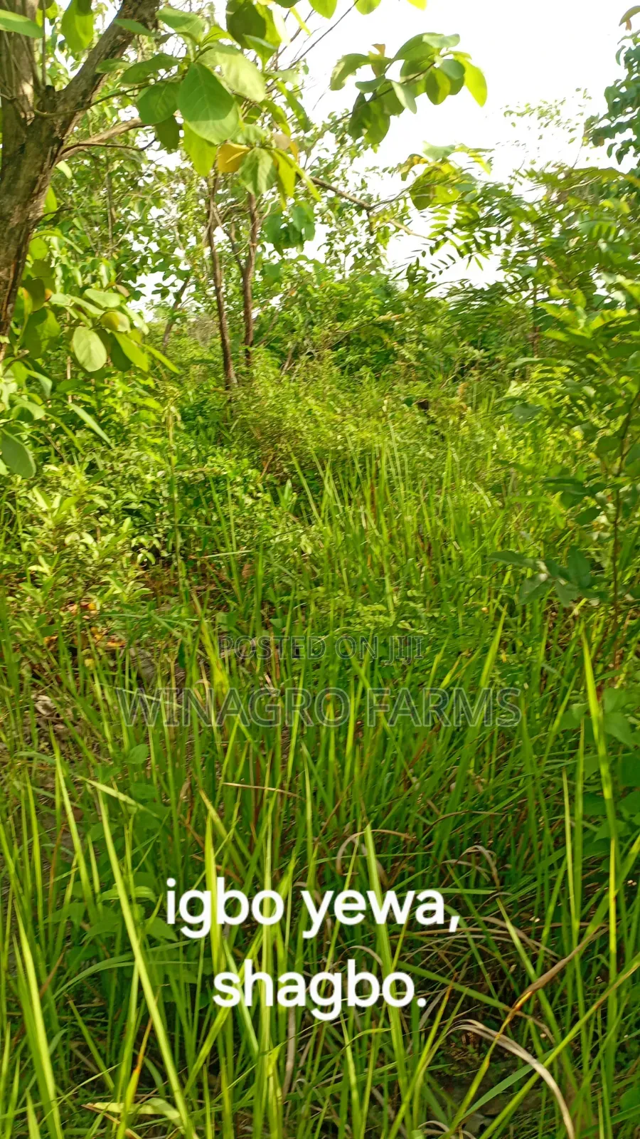 Farmers Hub Agric Land