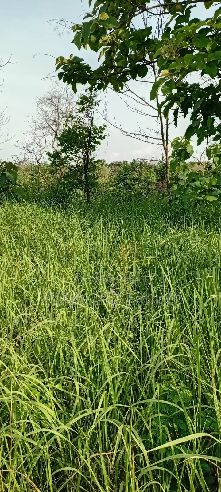 Farmers Hub Agric Land