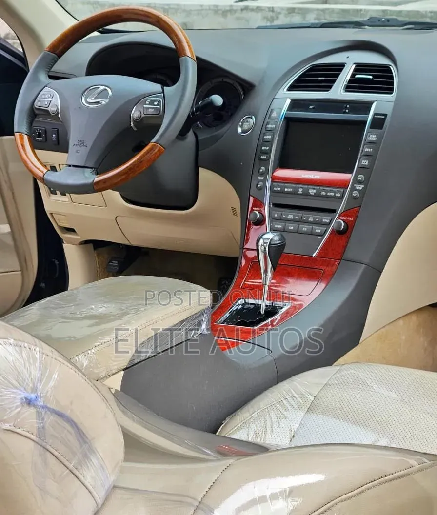 Lexus ES 350 2010 Gray