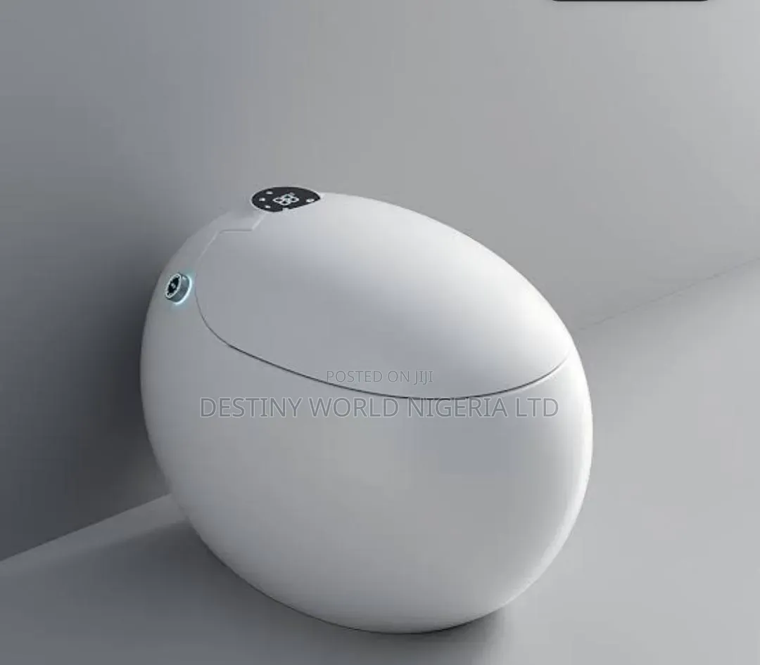 Modern White Egg-Shaped Smart Toilet Featuring Automated Lid Functions