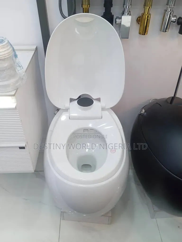 Modern White Egg-Shaped Smart Toilet Featuring Automated Lid Functions