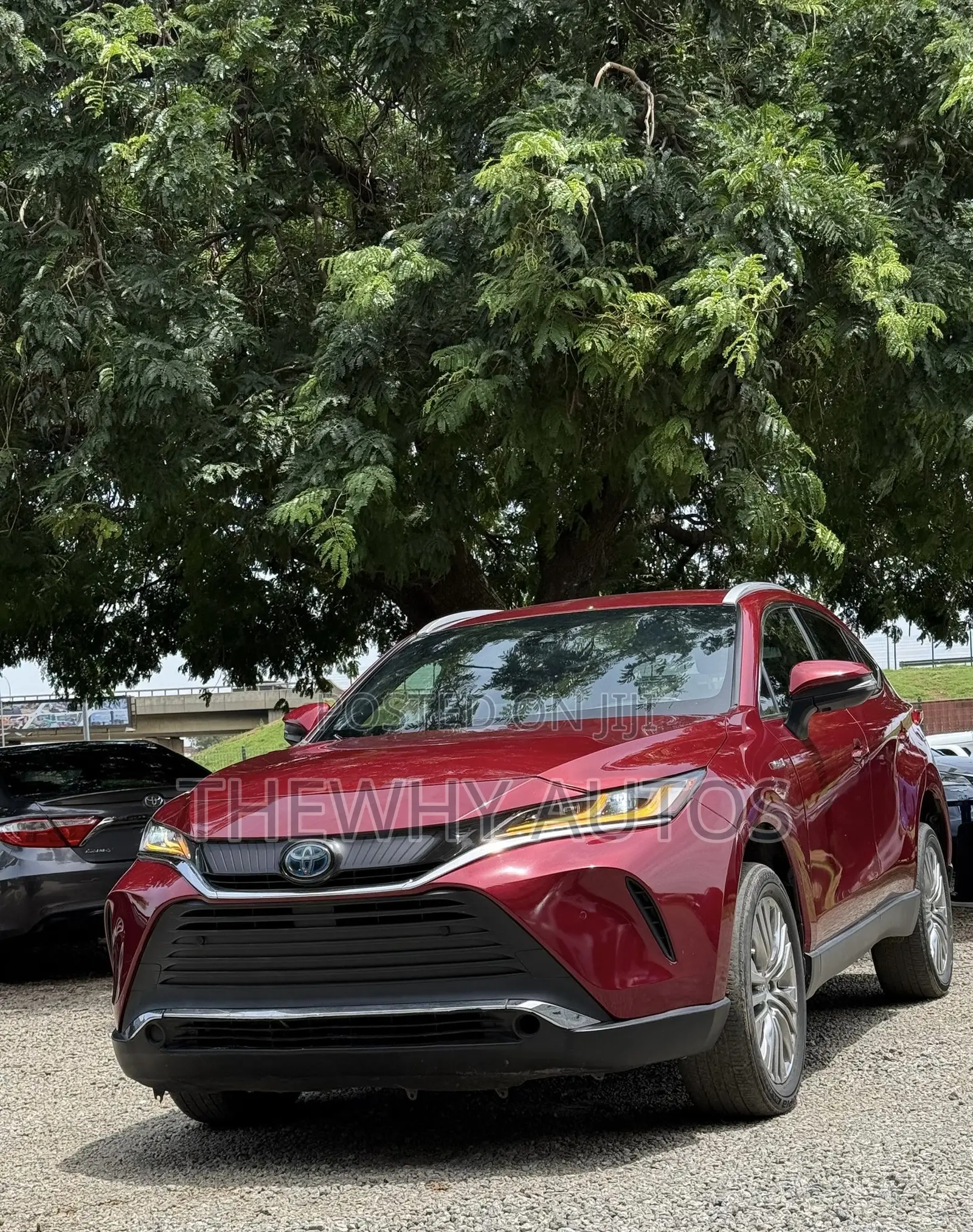 Toyota Venza XLE 2021 Burgundy