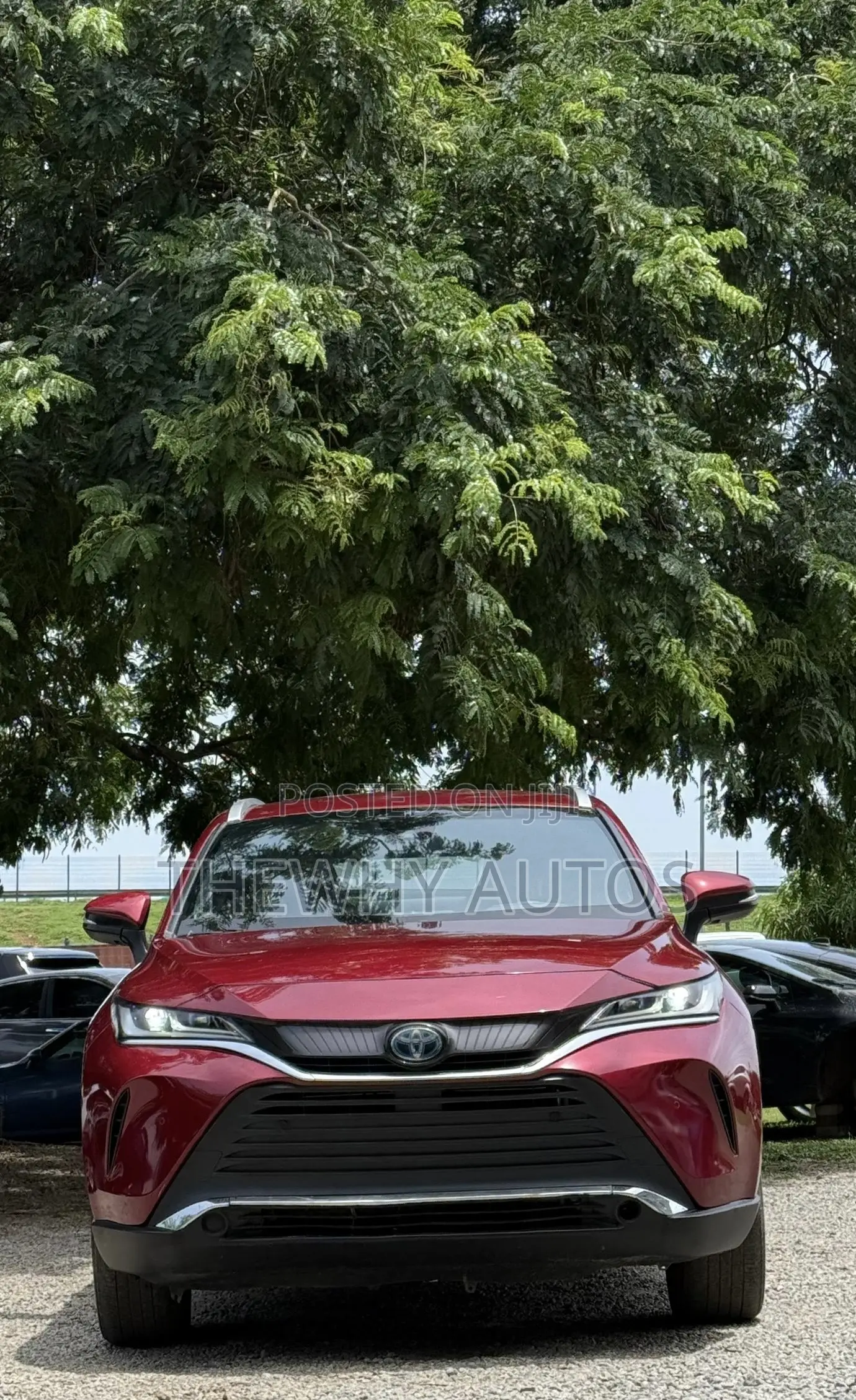 Toyota Venza XLE 2021 Burgundy