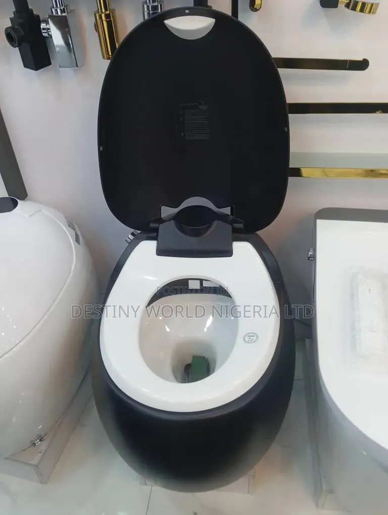Modern Smart Water Closets, Frequently Featuring Touchless Flushing.