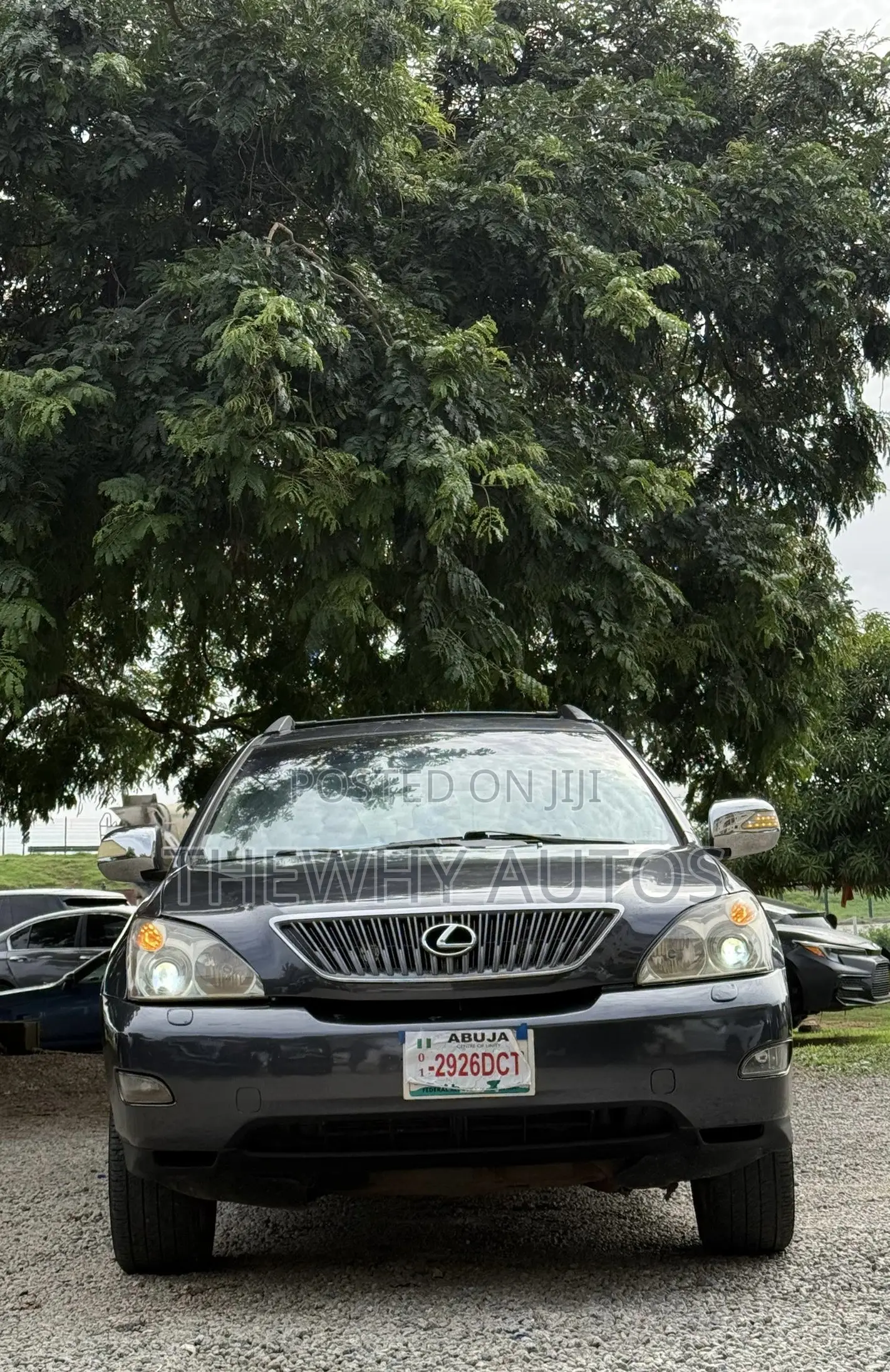 Lexus RX 330 2004 Gray