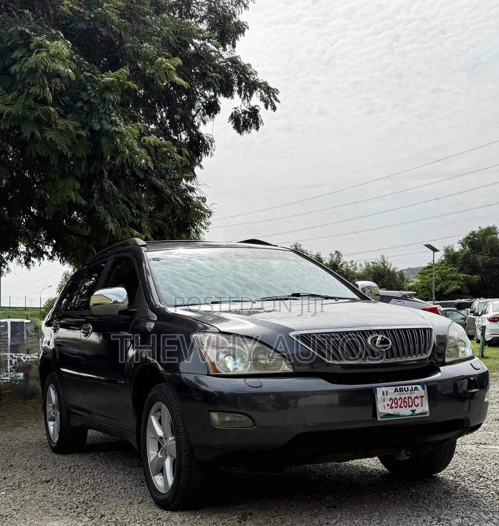 Lexus RX 330 2004 Gray