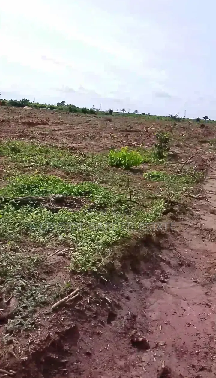 50x100sq'meter:Land for Sale at Ibusa