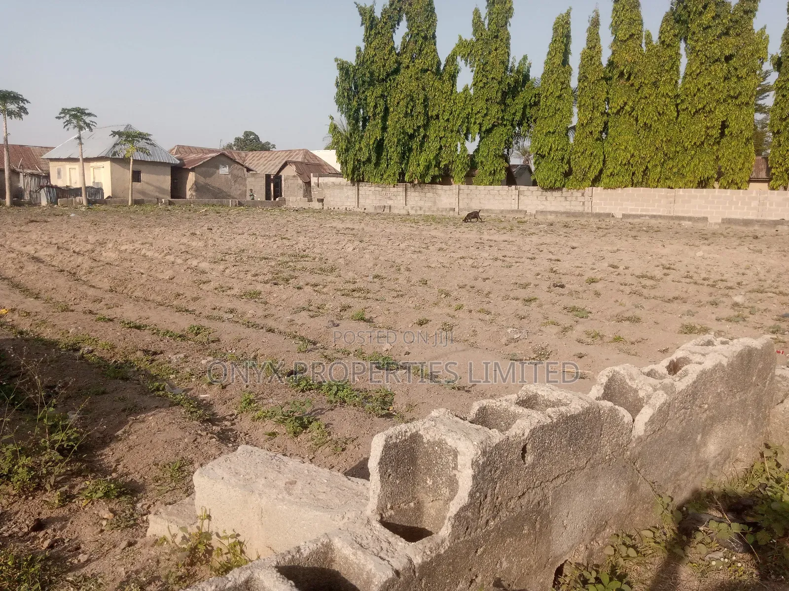 Land for Sell
