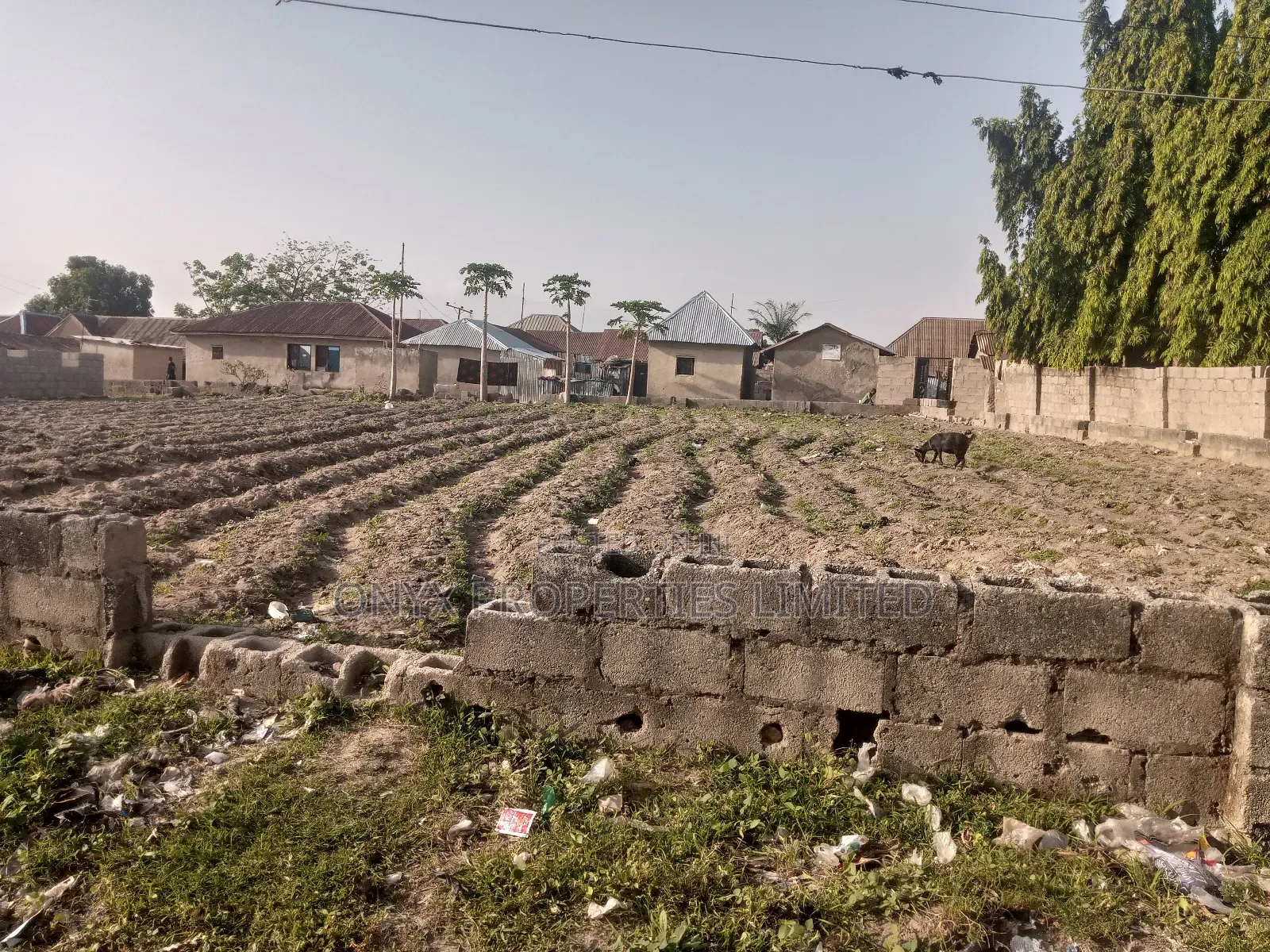 Land for Sell
