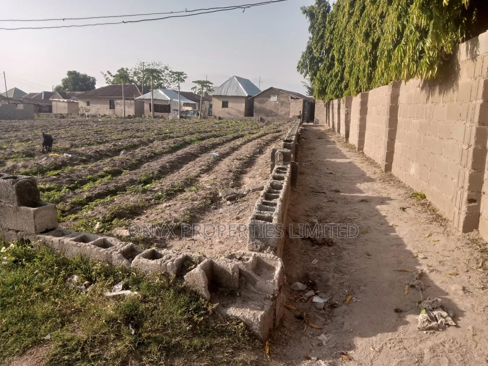 Land for Sell