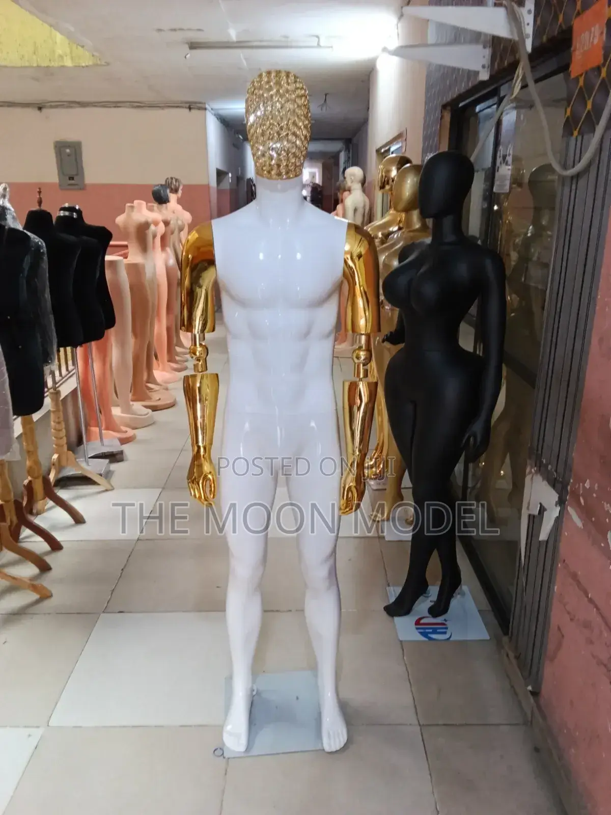 Full Male Mannequin