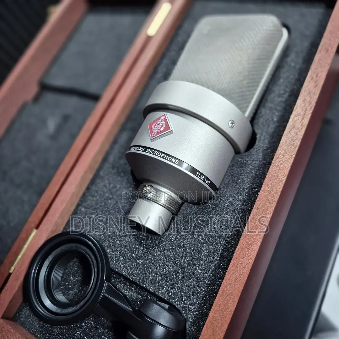 Neumann TLM 103 Hyper Motive Studio Microphone