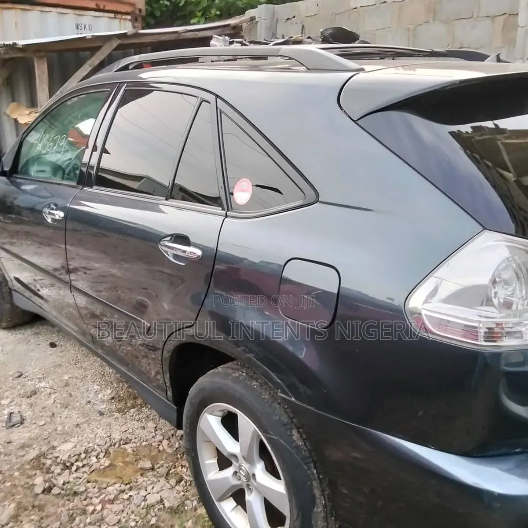 Lexus RX 350 AWD 2008 Gray