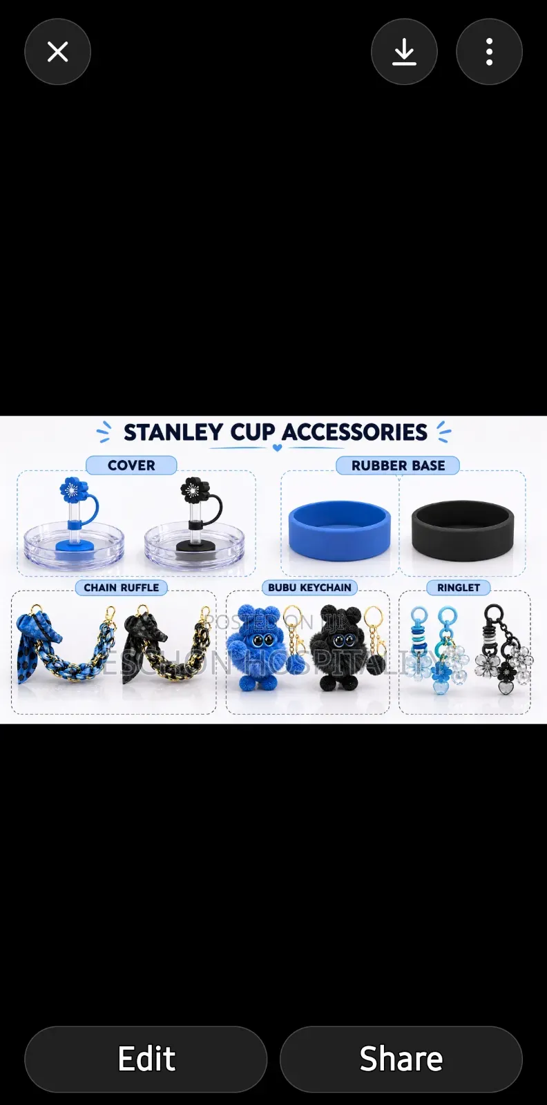 Stanley Cup Accessories