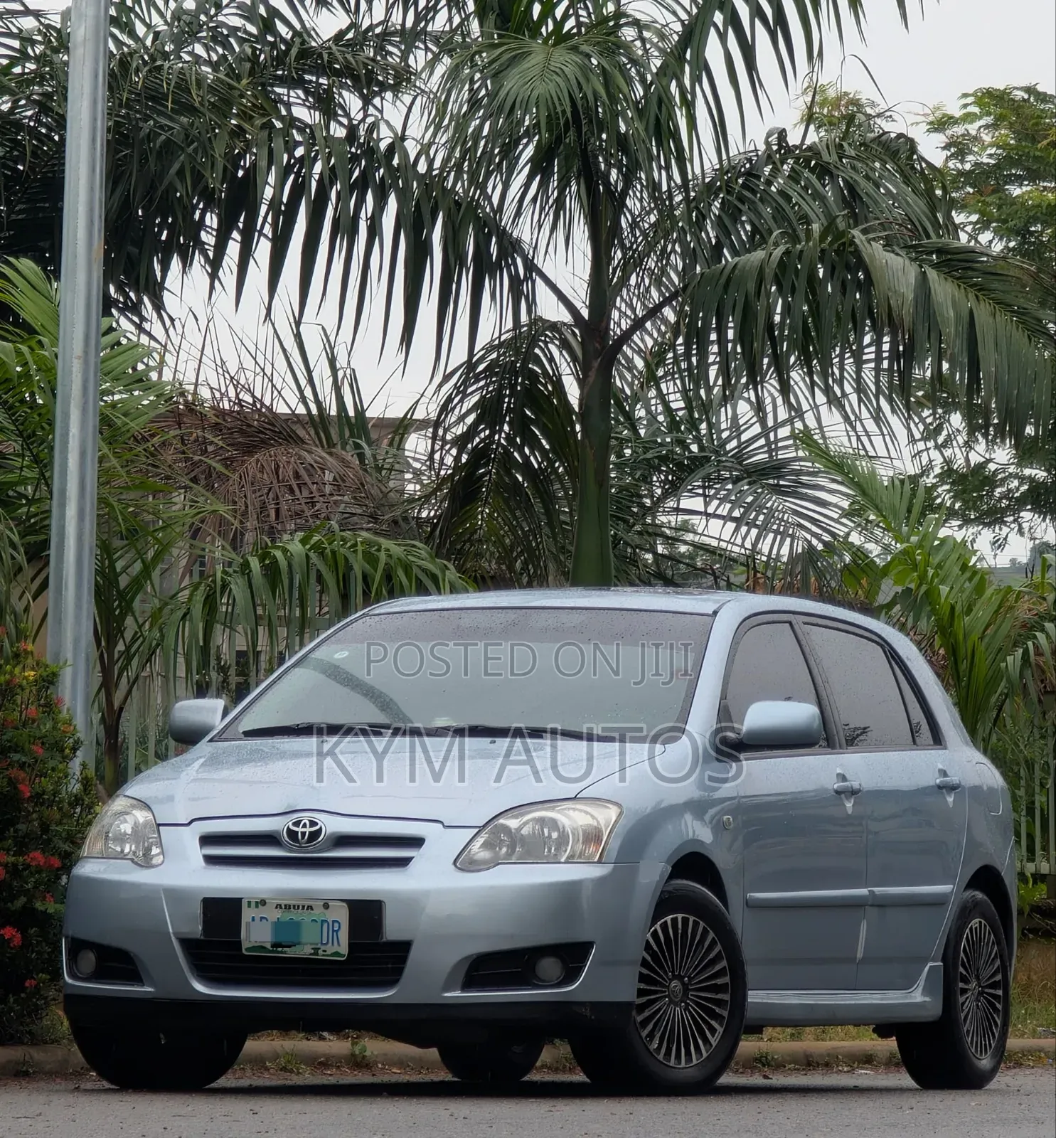 Toyota Corolla 2004 Blue