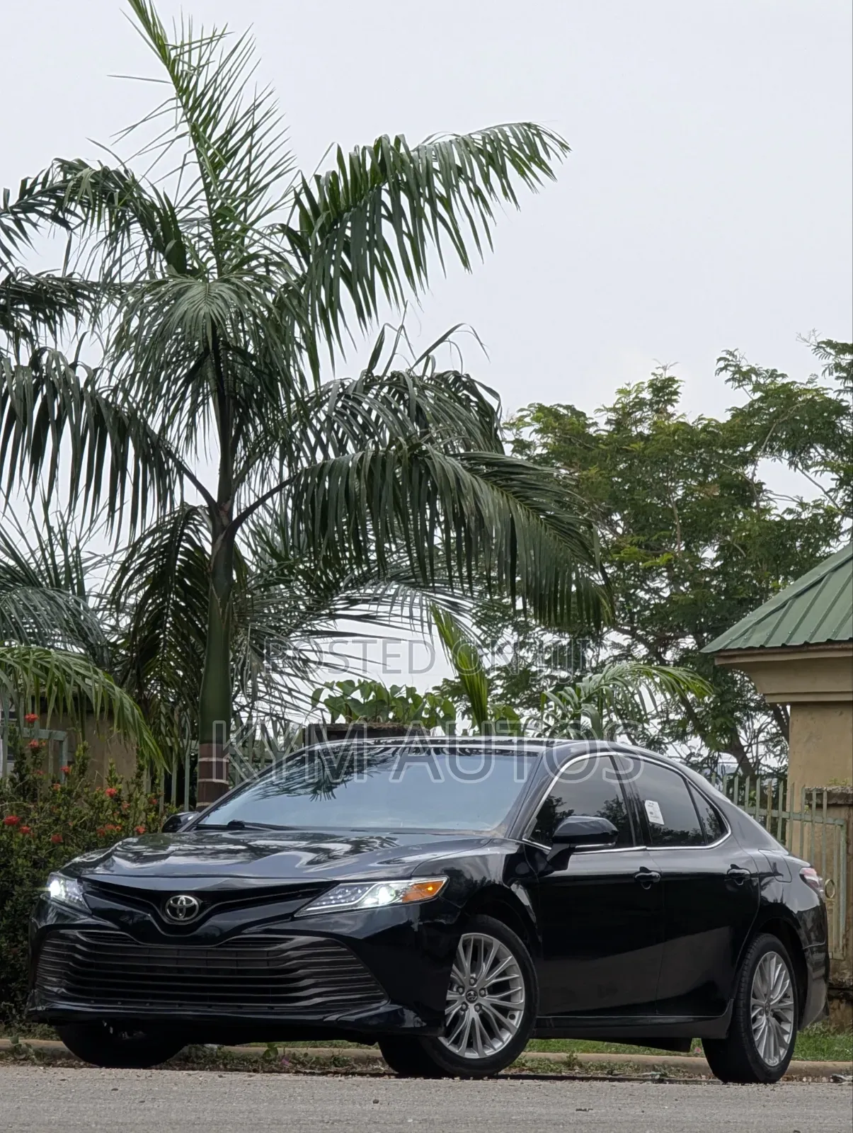 Toyota Camry XLE FWD 2020 Gray