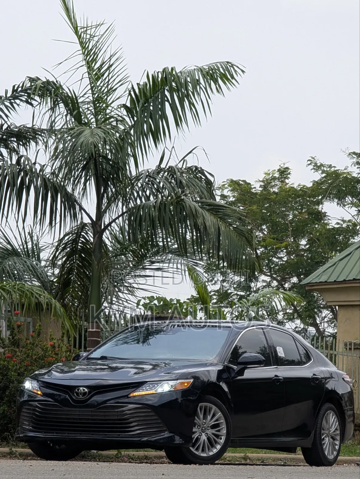 Toyota Camry XLE FWD 2020 Gray