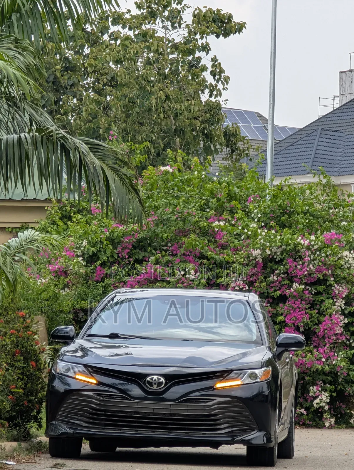 Toyota Camry XLE FWD 2020 Gray