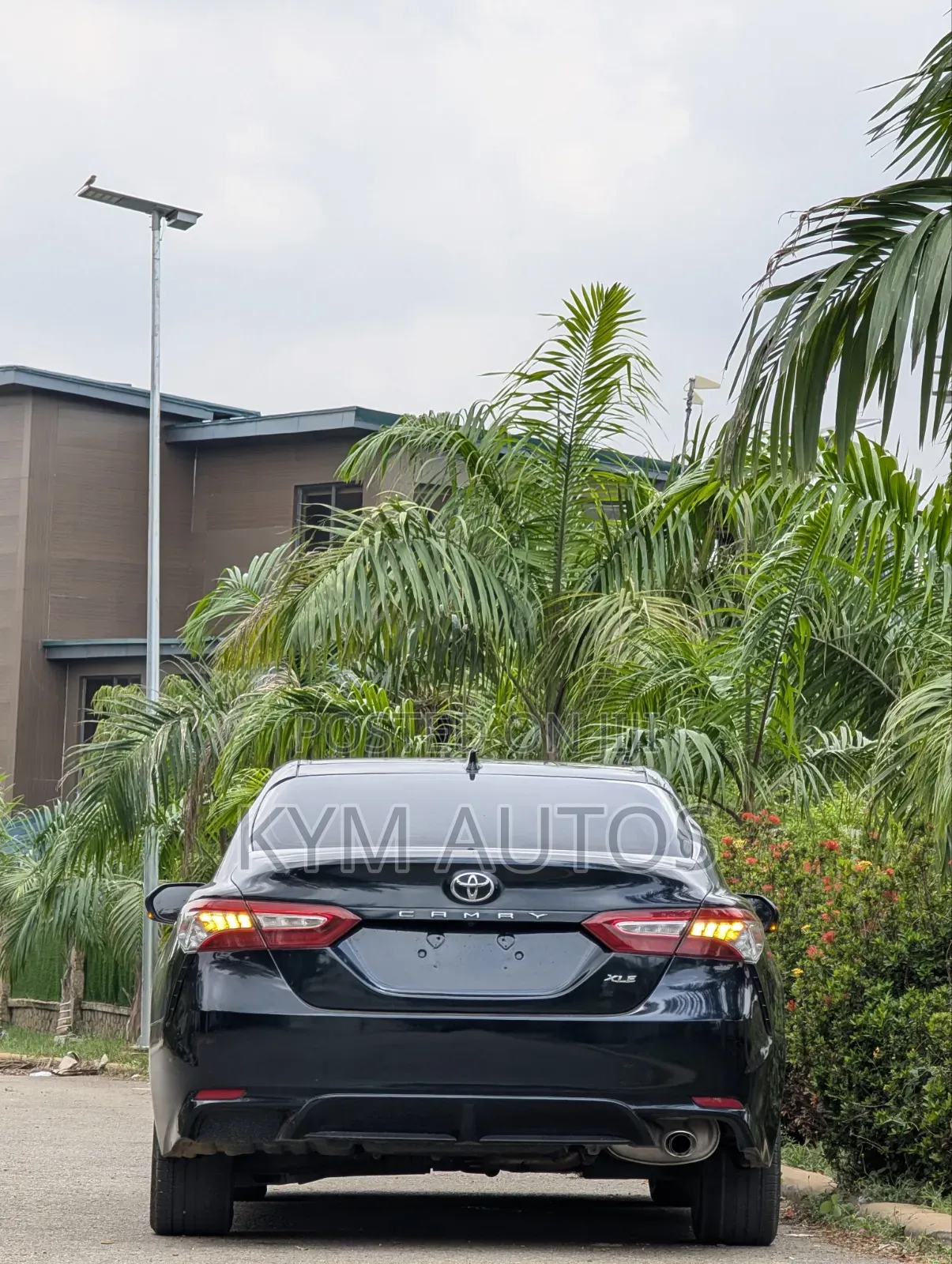 Toyota Camry XLE FWD 2020 Gray
