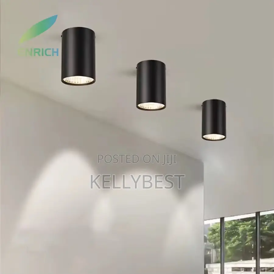 Cantilever Light