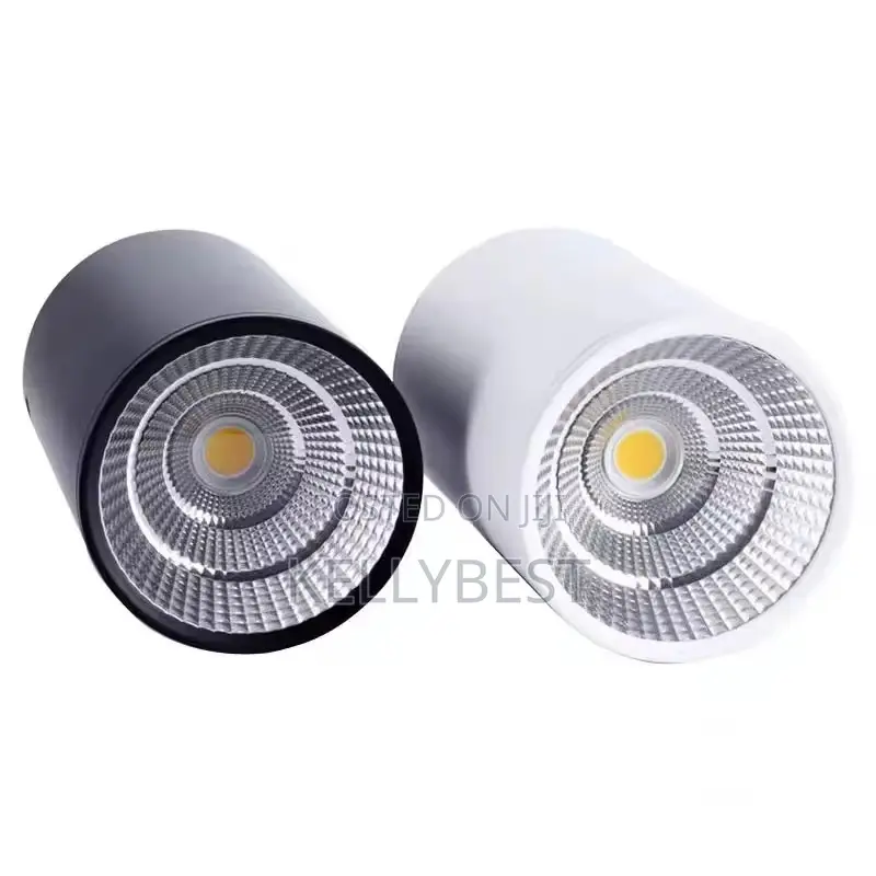 Cantilever Light