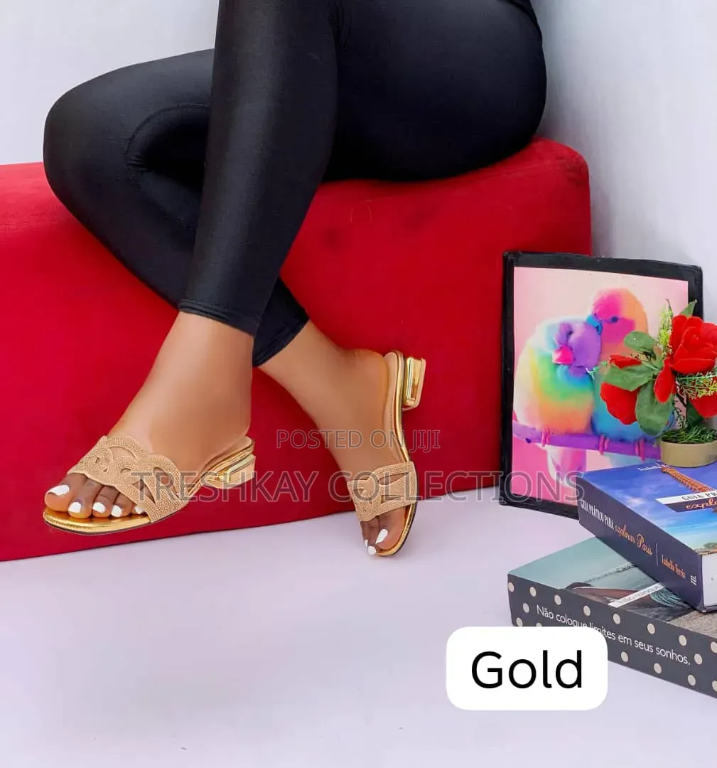 Beautiful Ladies Low Heeled Slippers 