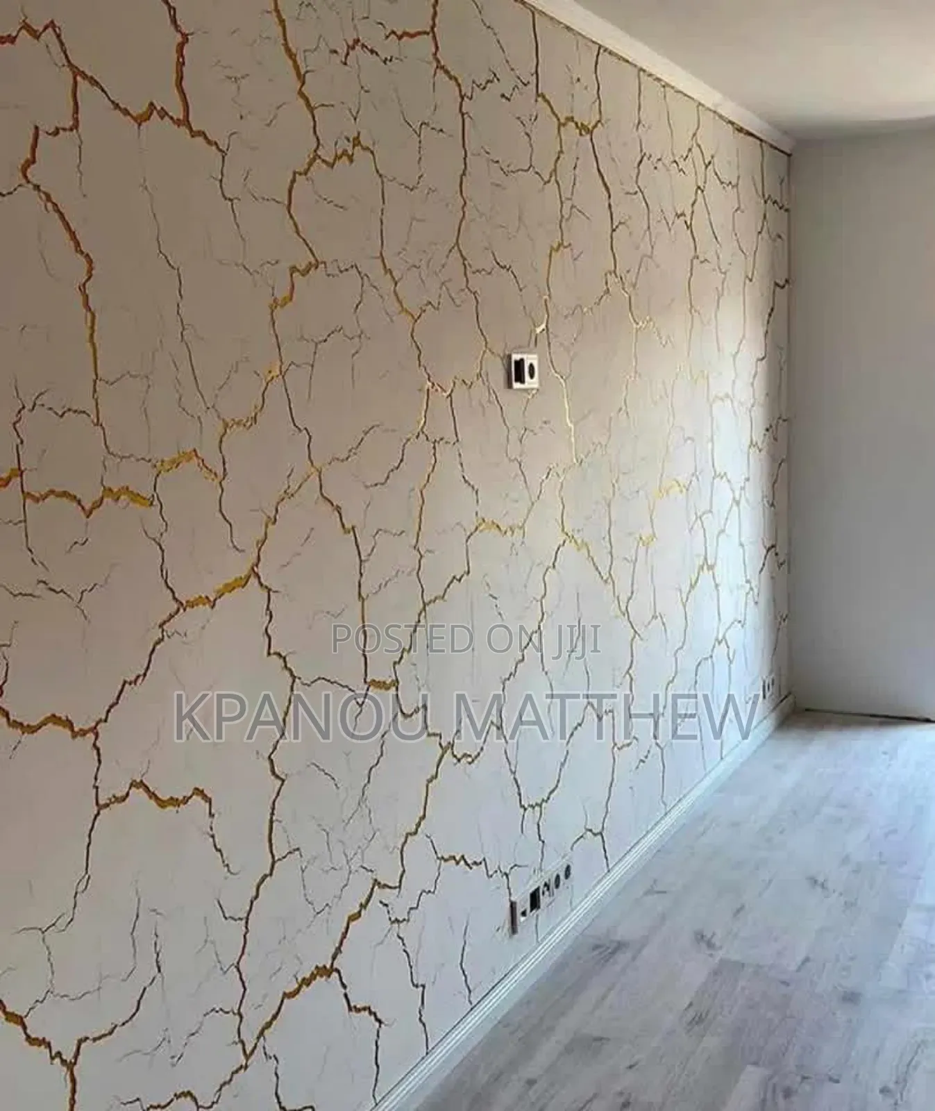 A Professional Painter