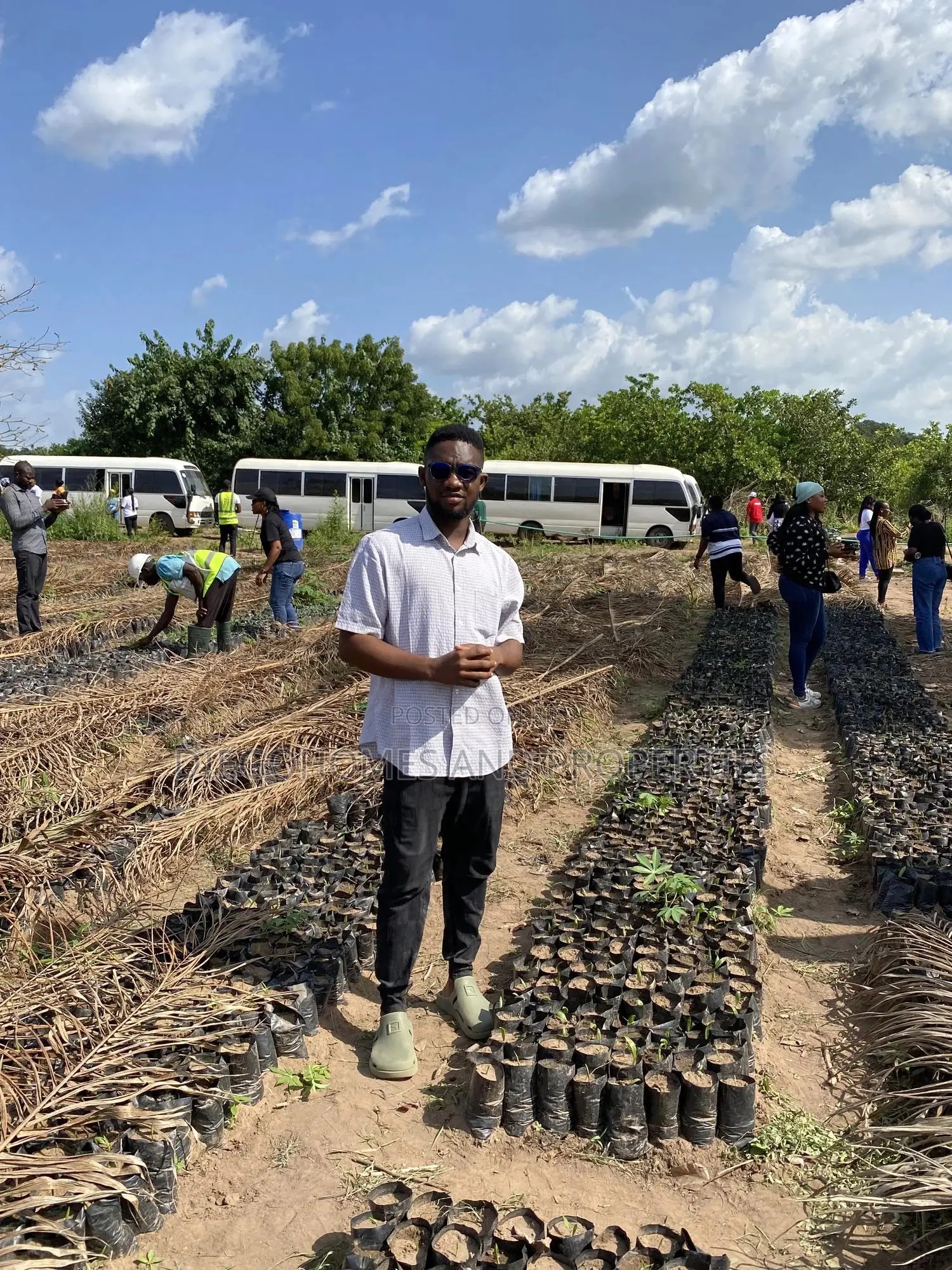 Own Acres of Palm Plantation Farmland |C of O | Iseyin Oyo