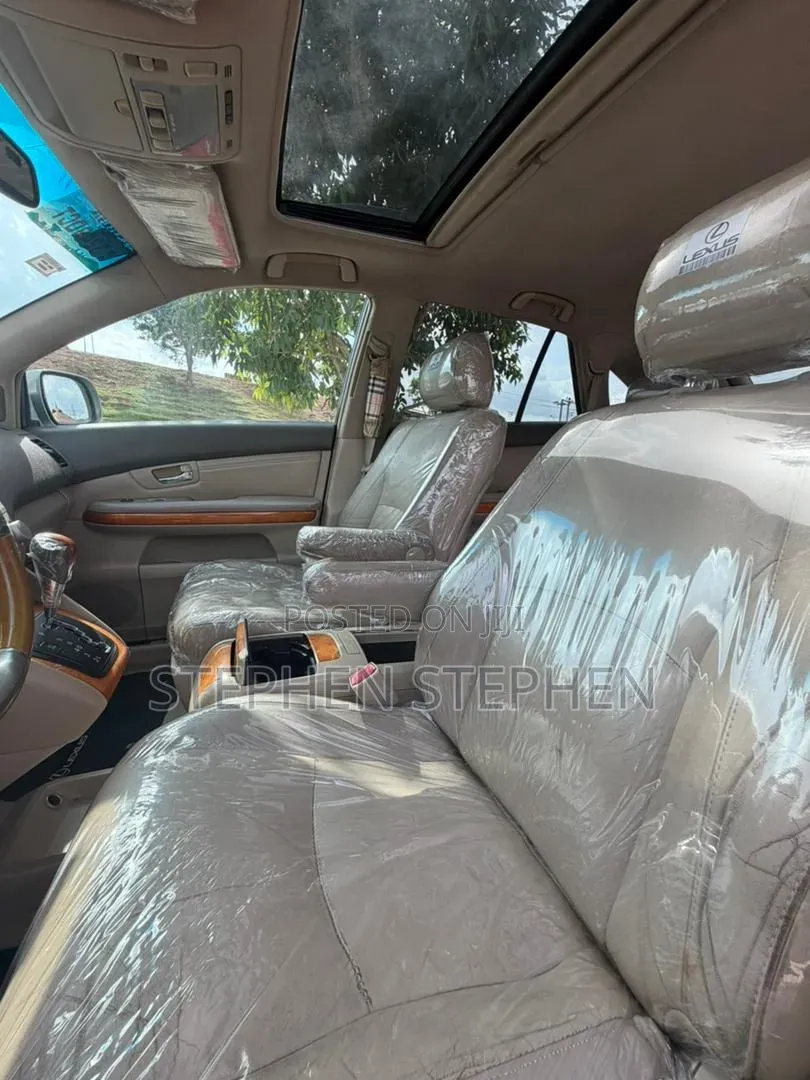 Lexus RX 350 2008 Silver