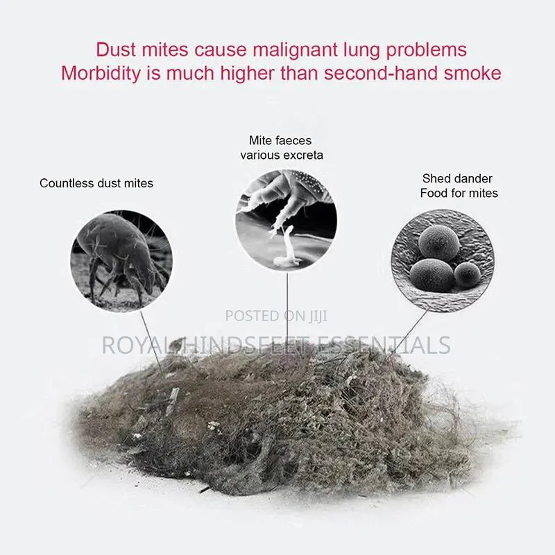 Usb Rechargeable Dust Mite Remover