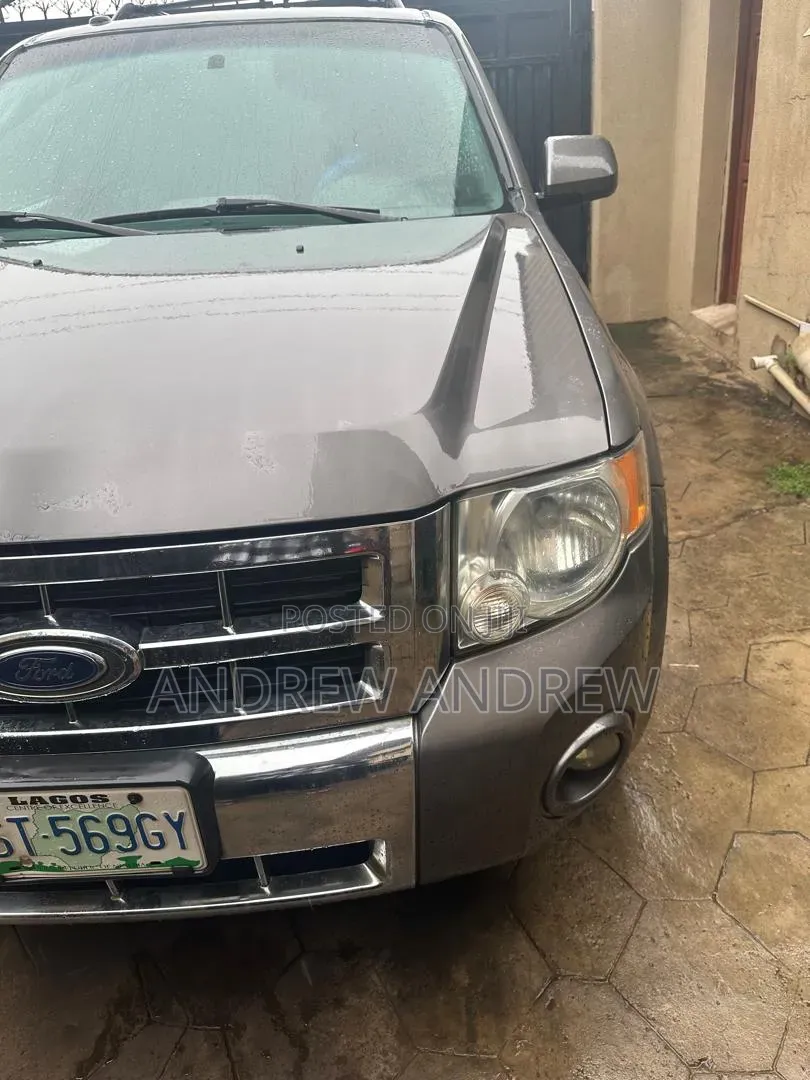 Ford Escape 2010 Gray