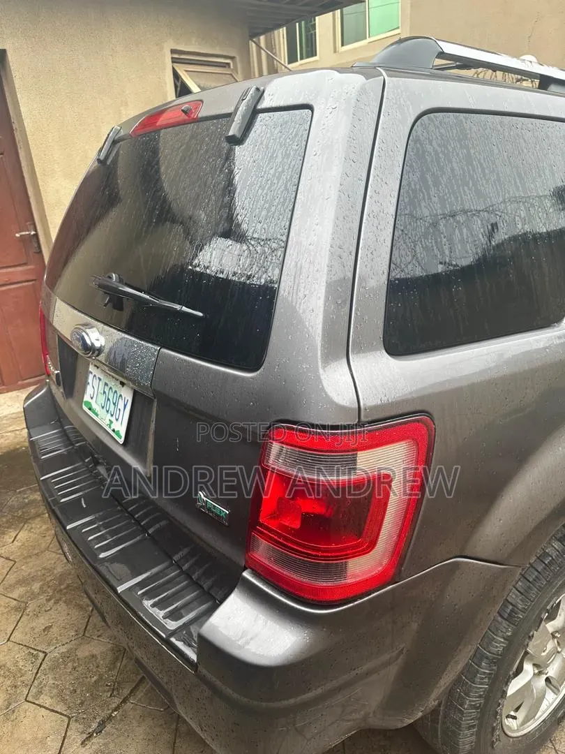 Ford Escape 2010 Gray