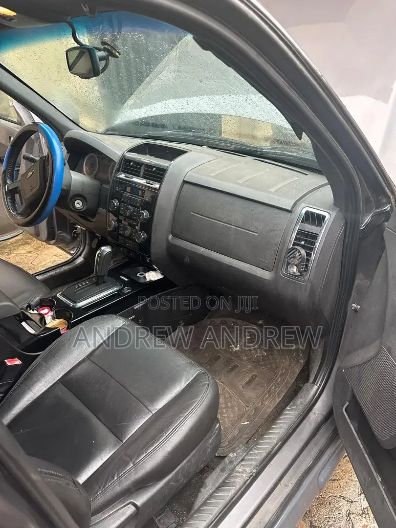 Ford Escape 2010 Gray