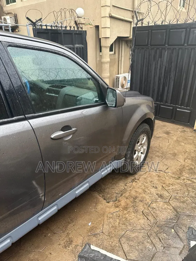 Ford Escape 2010 Gray