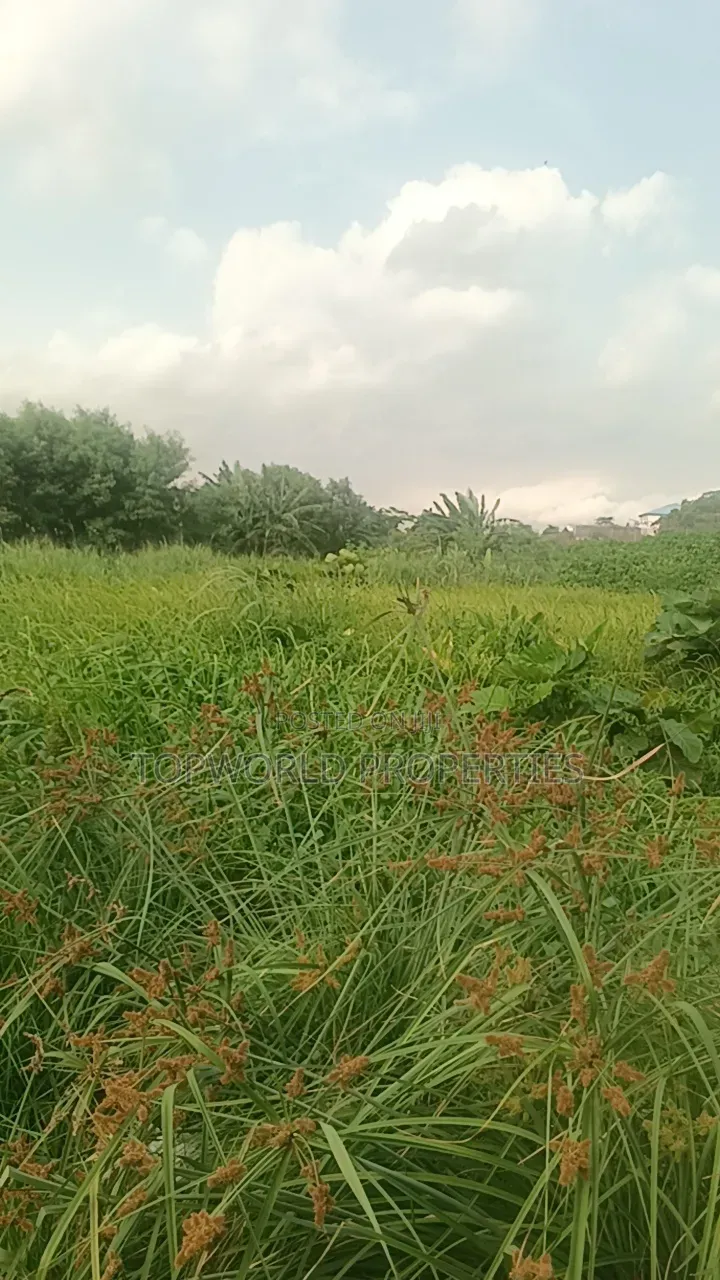 33 Plots Together at Agidingbi Alausa Ikeja