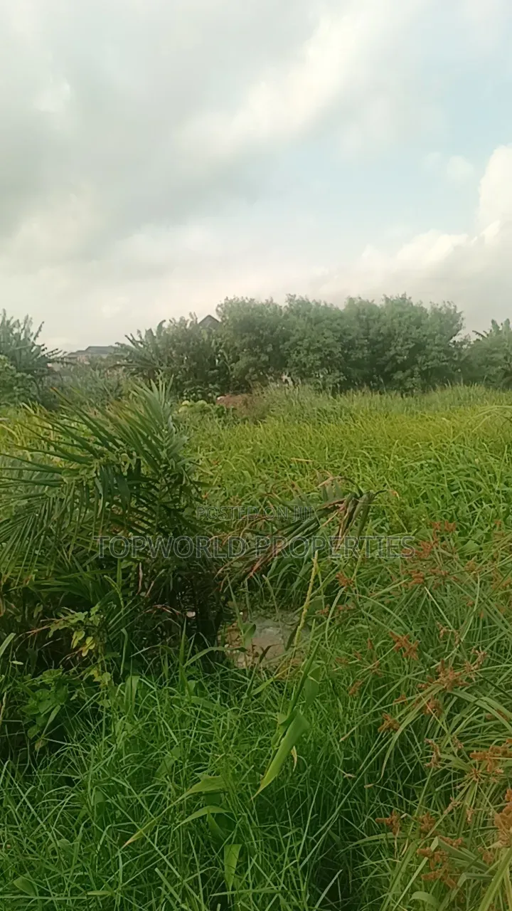 33 Plots Together at Agidingbi Alausa Ikeja