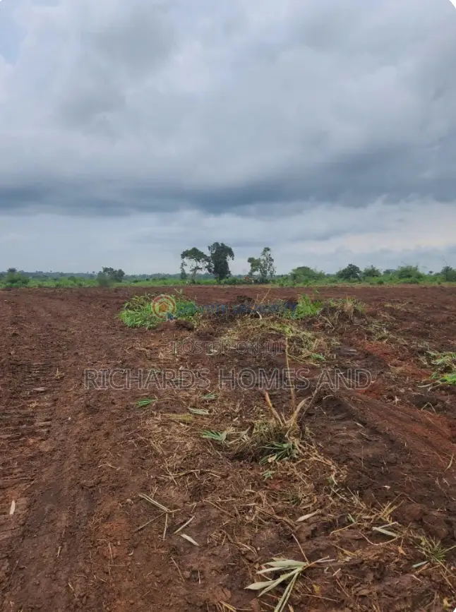 One Acre of Farmland for Sale in Ogun State