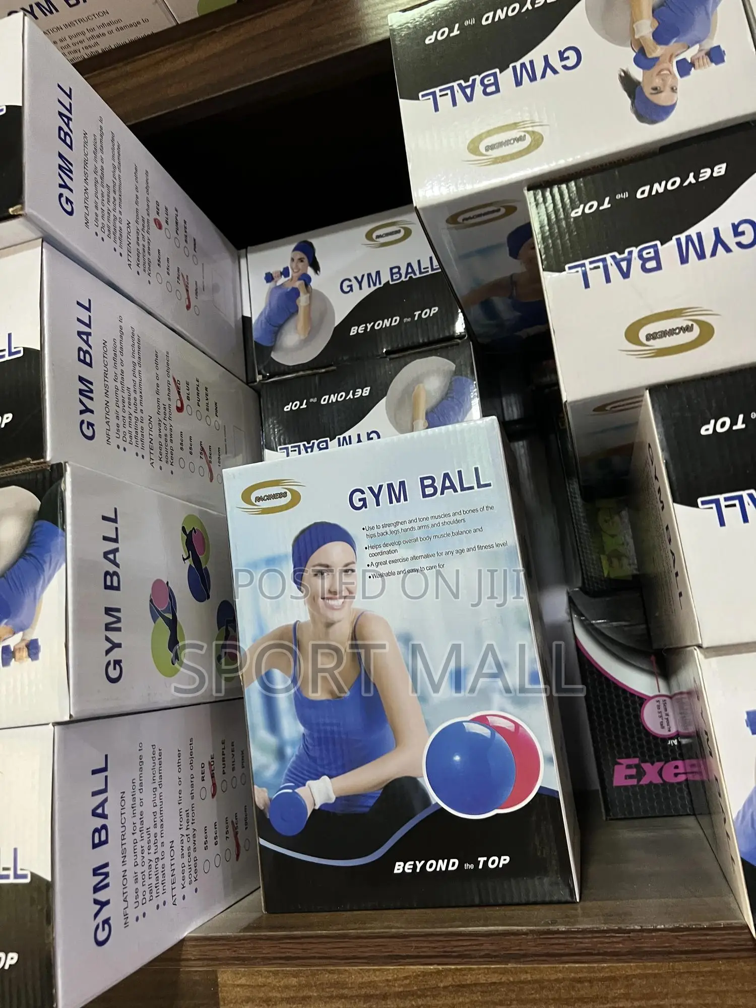Gym Ball With New Pump ( 2026