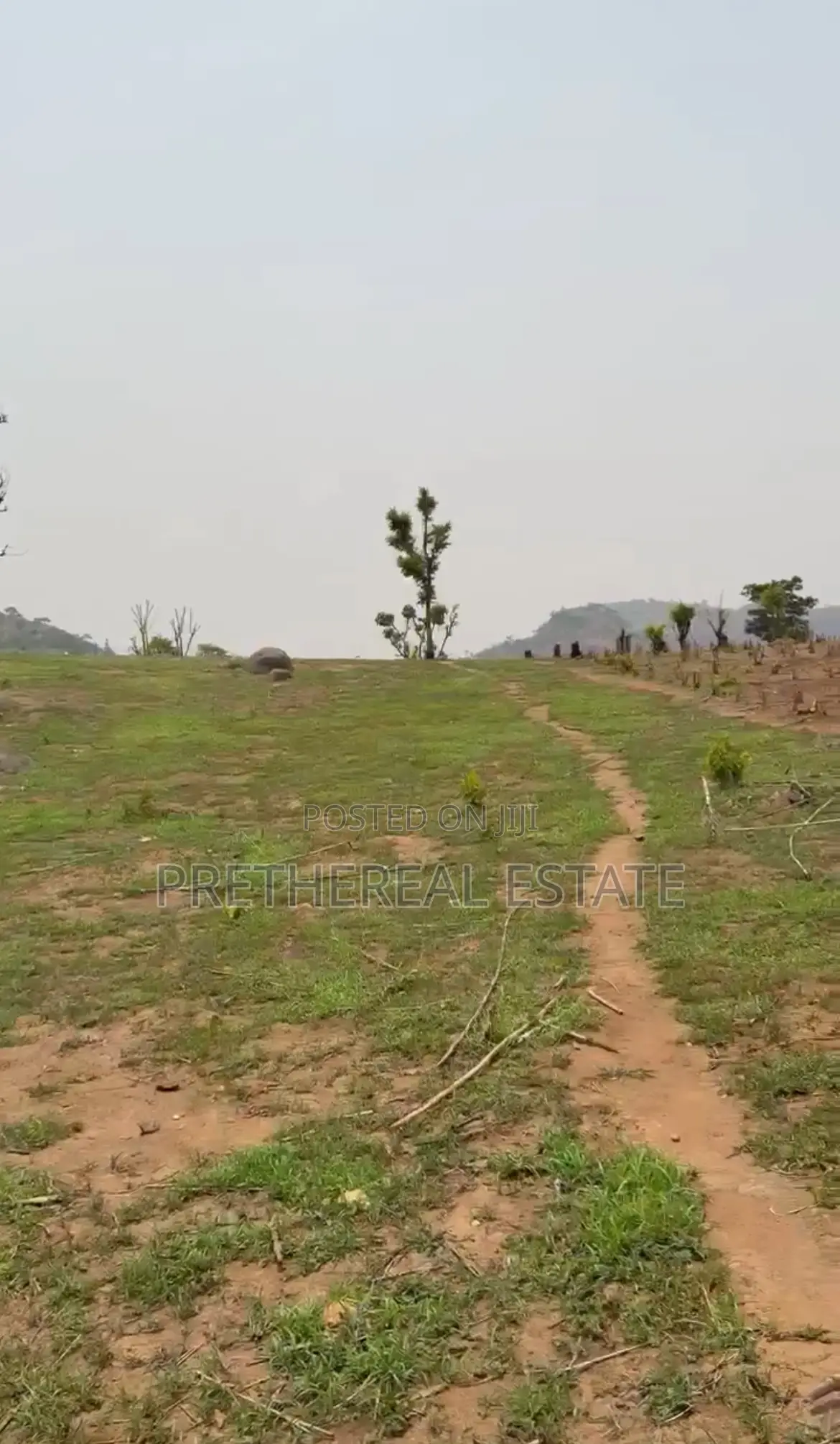 Land for Sale in Apo