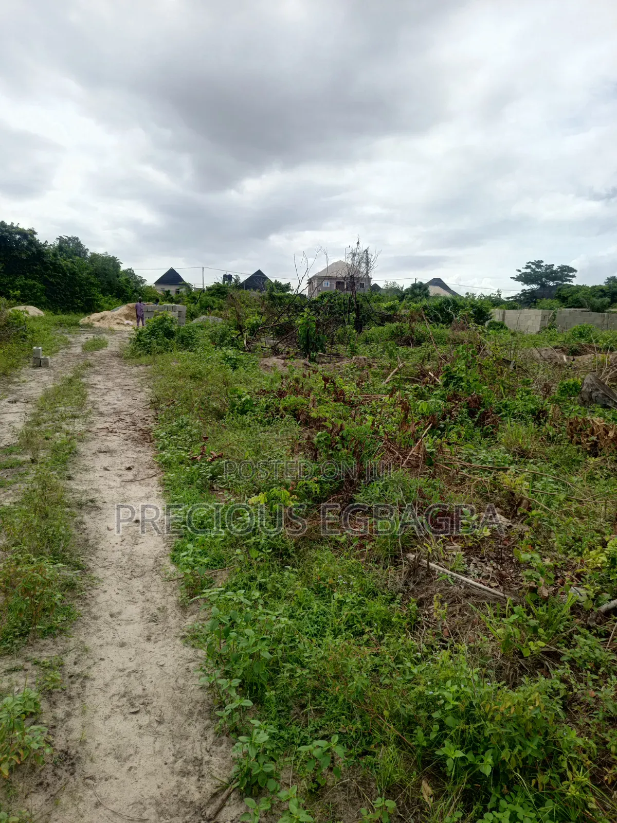 Plots of Land in a Well Developed Neighborhood